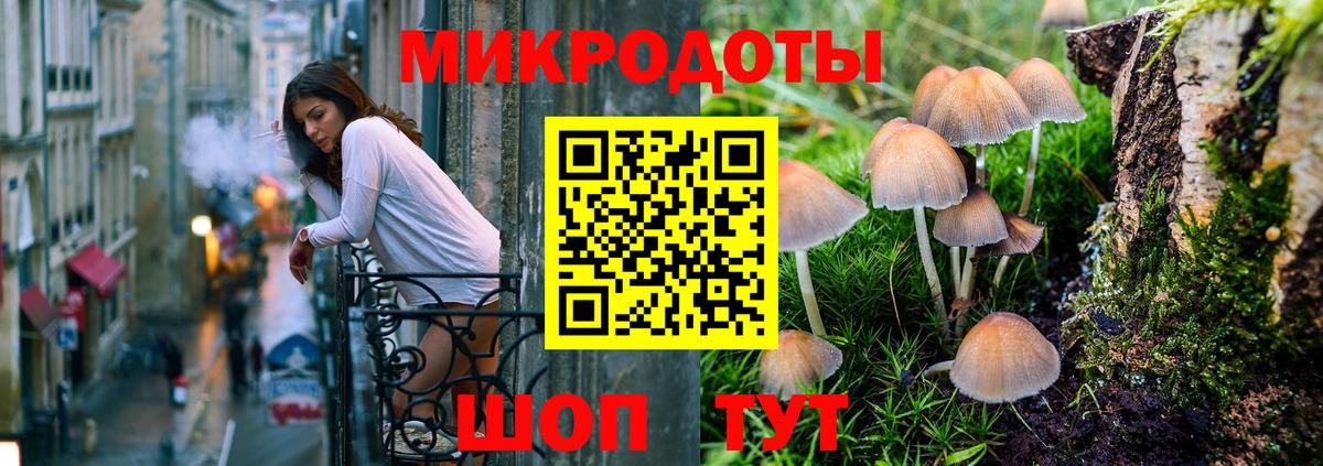 Псилоцибиновые грибы мухоморы Михайловск
