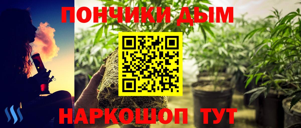 Михайловск  Бошки Шишки индика  Конопля марихуана  Марихуана THC 21%  Вход с VPN  МАРИХУАНА SATIVA & INDICA 